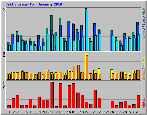 Daily usage for January 2019