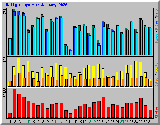 Daily usage for January 2020