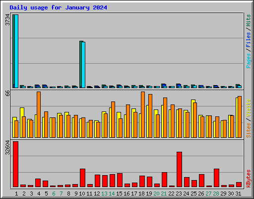 Daily usage for January 2024
