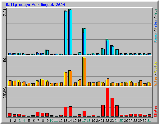 Daily usage for August 2024