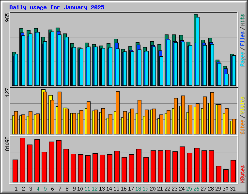 Daily usage for January 2025