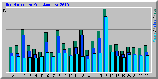 Hourly usage for January 2019
