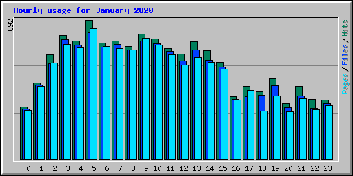 Hourly usage for January 2020