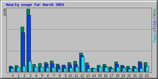 Hourly usage for March 2021