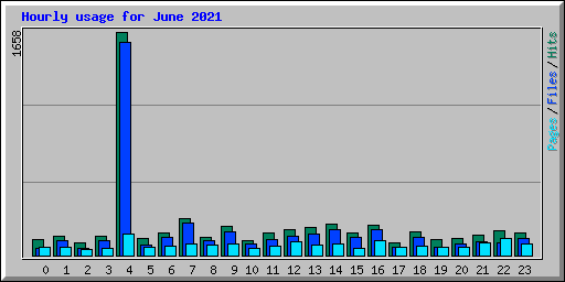 Hourly usage for June 2021
