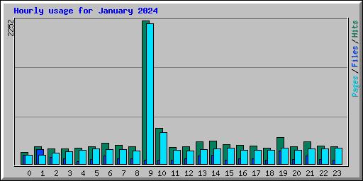 Hourly usage for January 2024