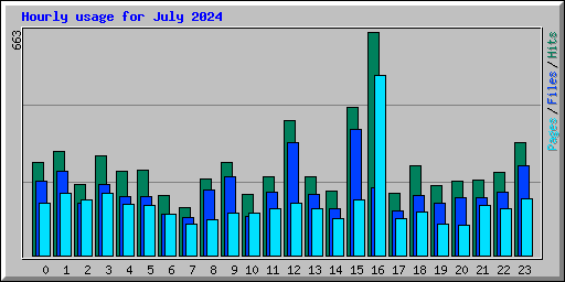Hourly usage for July 2024