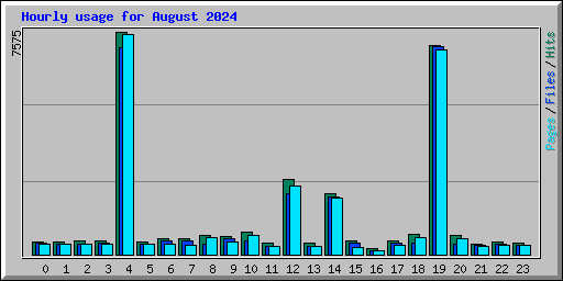 Hourly usage for August 2024