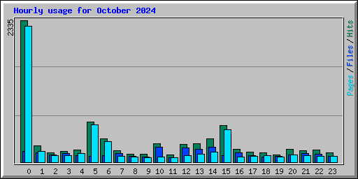 Hourly usage for October 2024