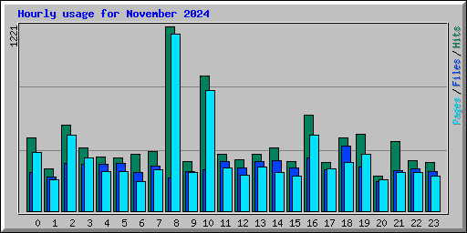 Hourly usage for November 2024