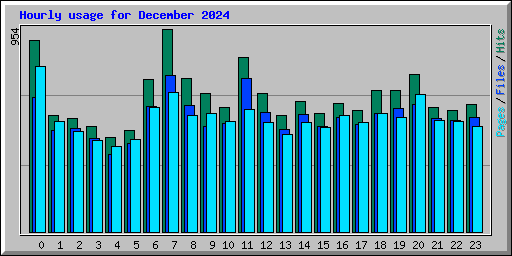 Hourly usage for December 2024