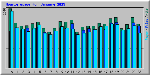 Hourly usage for January 2025