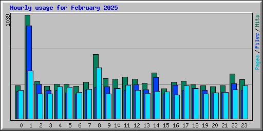 Hourly usage for February 2025