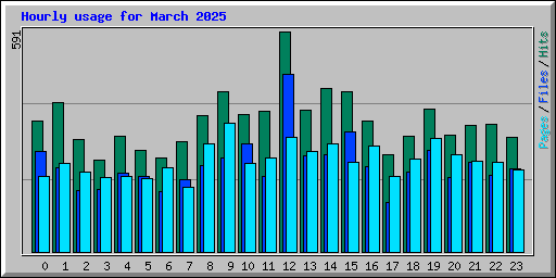 Hourly usage for March 2025