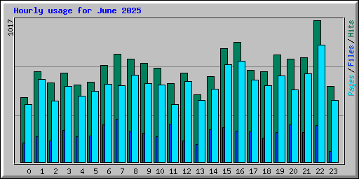 Hourly usage for June 2025