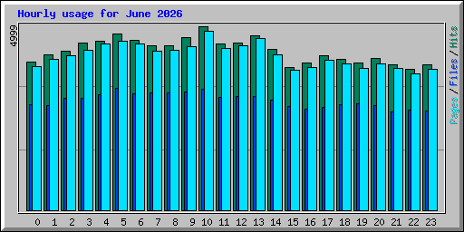 Hourly usage for June 2026