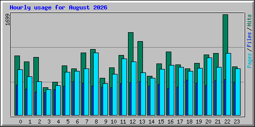 Hourly usage for August 2026
